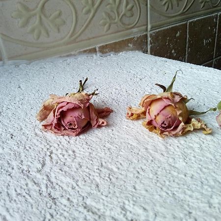 Posada Del Dulce Sueno Mojares 외부 사진